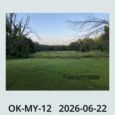 Hail Obs Photo