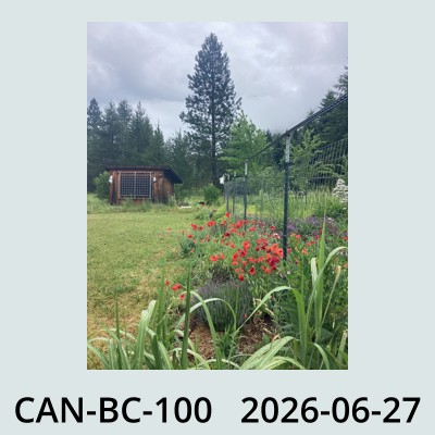 Hail Obs Photo