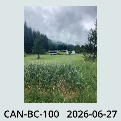 Hail Obs Photo