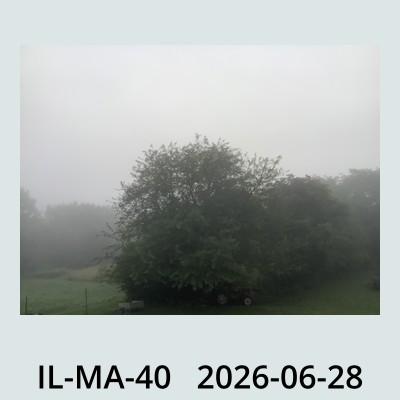 Hail Obs Photo