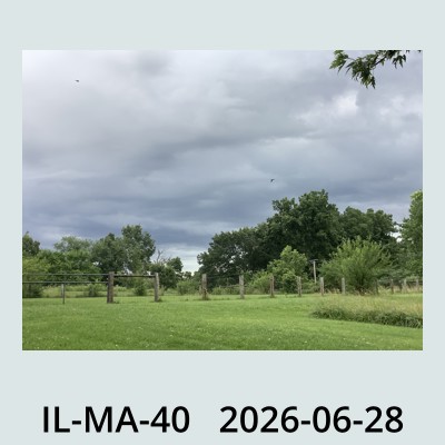 Hail Obs Photo