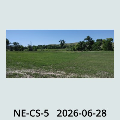 Hail Obs Photo