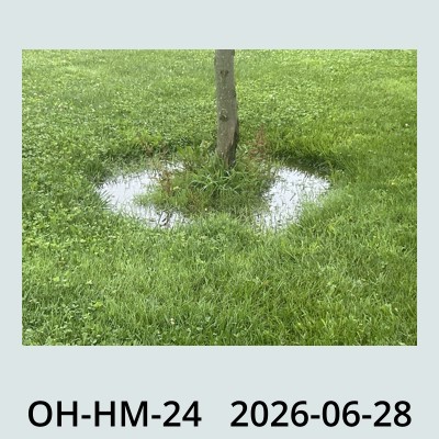Hail Obs Photo