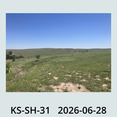 Hail Obs Photo