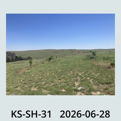 Hail Obs Photo