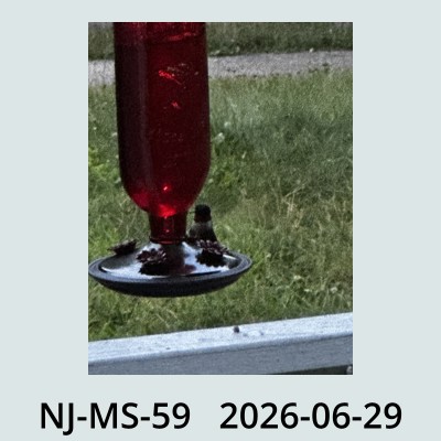 Hail Obs Photo