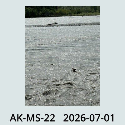 Hail Obs Photo