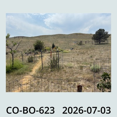 Hail Obs Photo