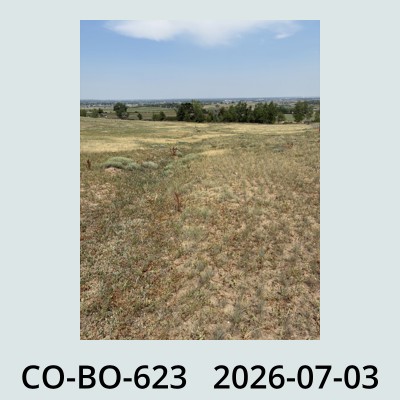 Hail Obs Photo