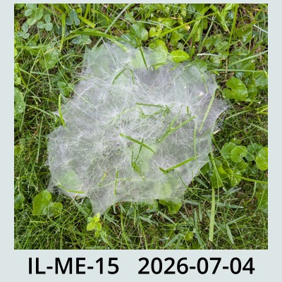 Hail Obs Photo