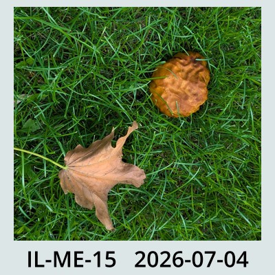Hail Obs Photo