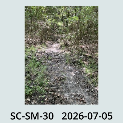Hail Obs Photo