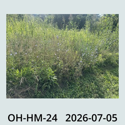 Hail Obs Photo