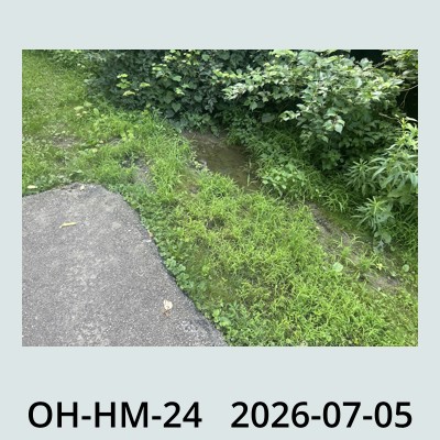 Hail Obs Photo