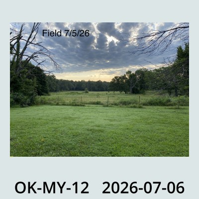 Hail Obs Photo