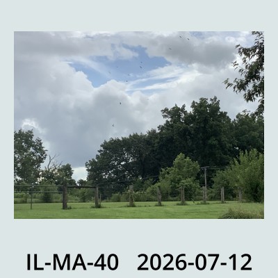 Hail Obs Photo