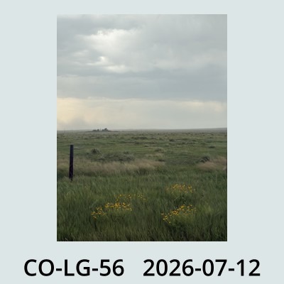 Hail Obs Photo