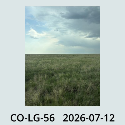 Hail Obs Photo