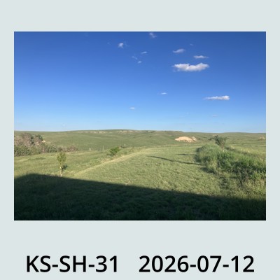 Hail Obs Photo