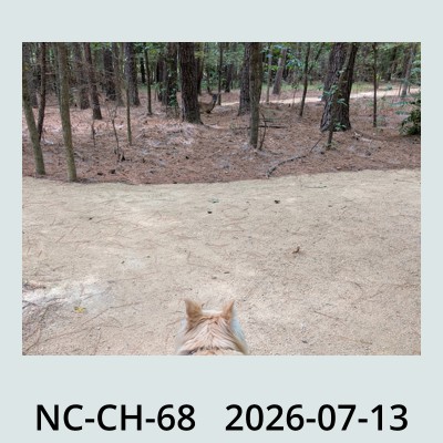Hail Obs Photo