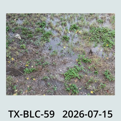 Hail Obs Photo