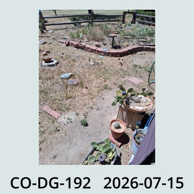 Hail Obs Photo