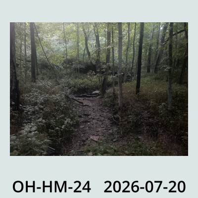 Hail Obs Photo