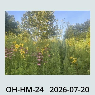 Hail Obs Photo