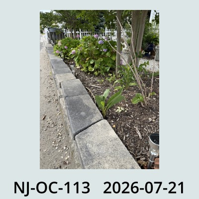 Hail Obs Photo