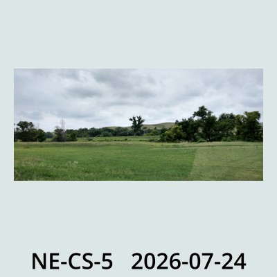 Hail Obs Photo