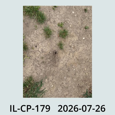 Hail Obs Photo