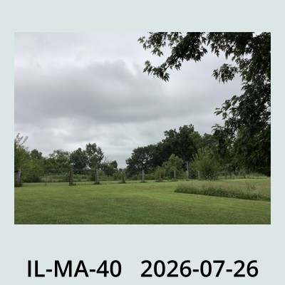 Hail Obs Photo
