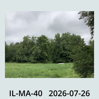 Hail Obs Photo