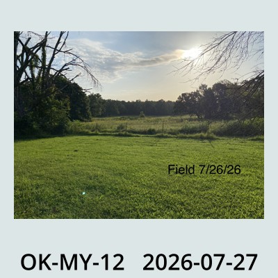 Hail Obs Photo