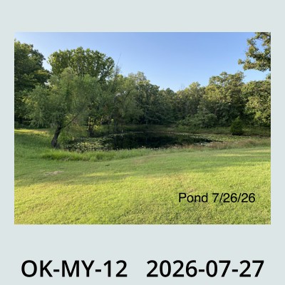 Hail Obs Photo