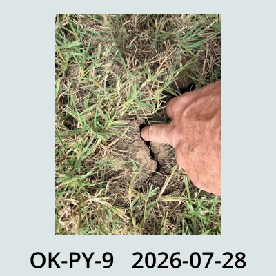 Hail Obs Photo