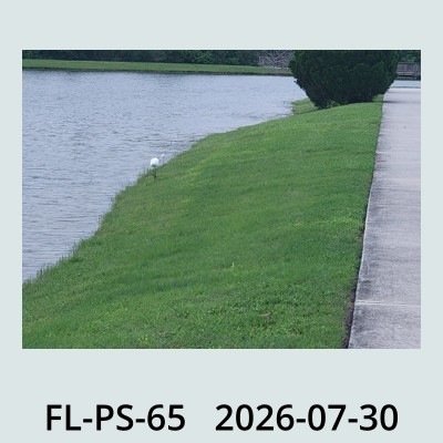 Hail Obs Photo
