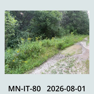 Hail Obs Photo