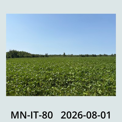 Hail Obs Photo