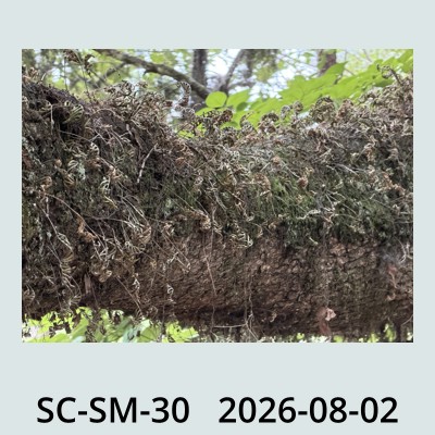 Hail Obs Photo