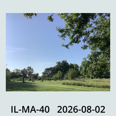 Hail Obs Photo
