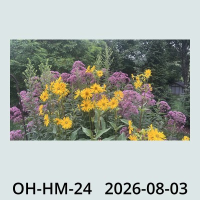 Hail Obs Photo