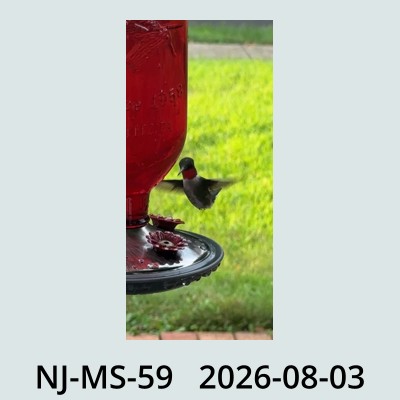 Hail Obs Photo