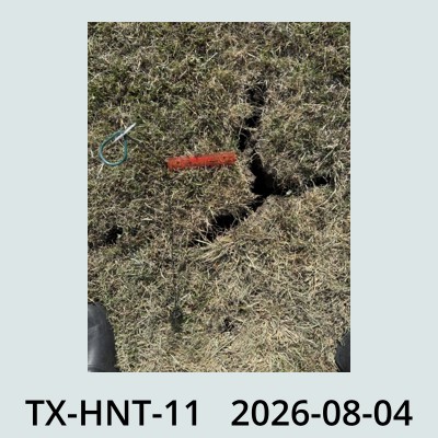 Hail Obs Photo