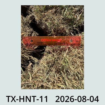 Hail Obs Photo