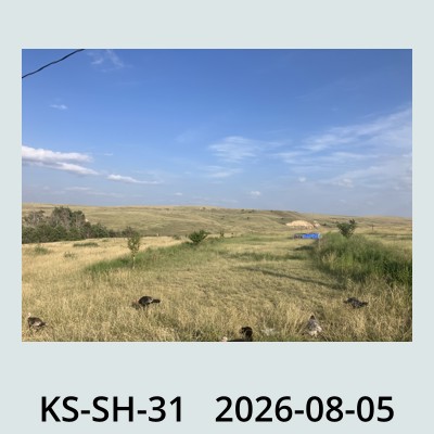 Hail Obs Photo