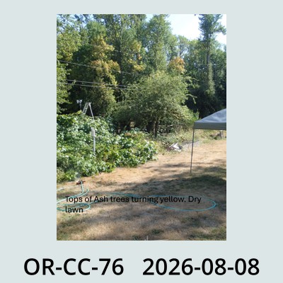 Hail Obs Photo