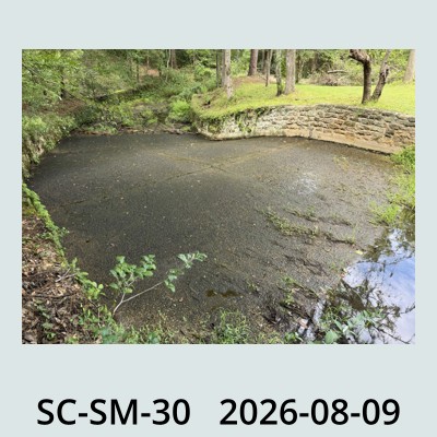 Hail Obs Photo
