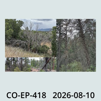 Hail Obs Photo