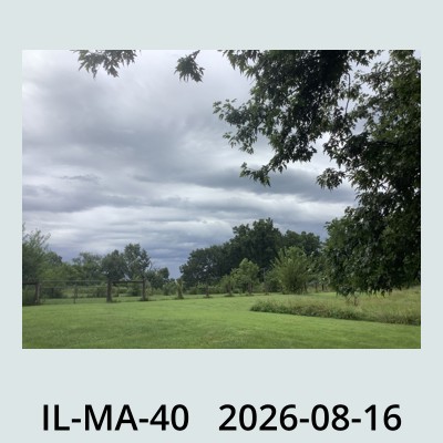 Hail Obs Photo